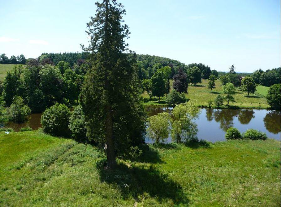 Chateau De Saint-Maixant Eksteriør bilde